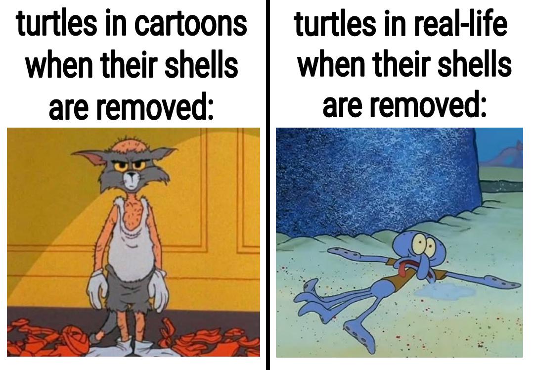 they don't actually have a tanktop under their shell