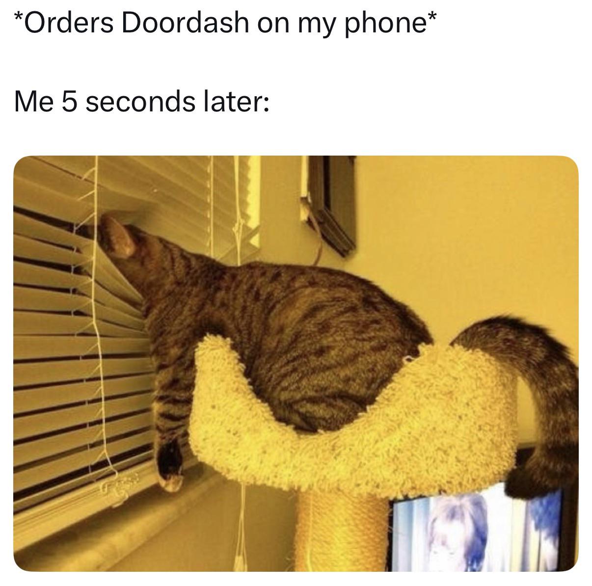 Wya..