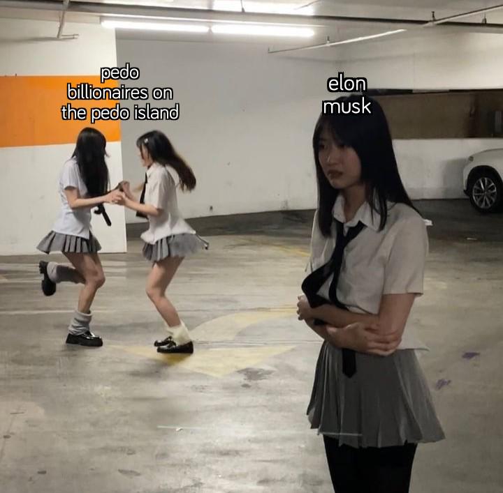 "Do you think I'm fucking redacted?" - Jeffrey Epstein to Elon Musk