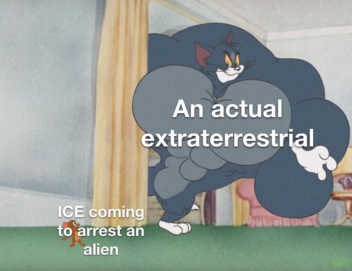 Stupid meme? Probably…