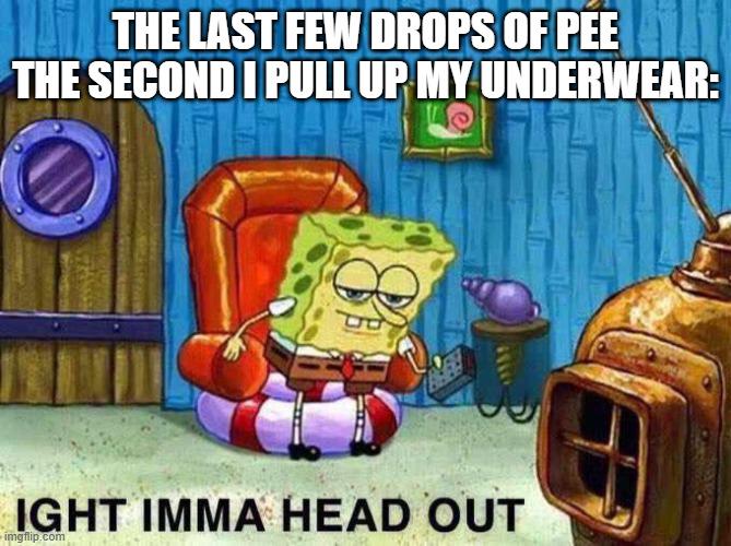 The saying goes: "No matter how you shake and dance, the last few drops end up in your pants".