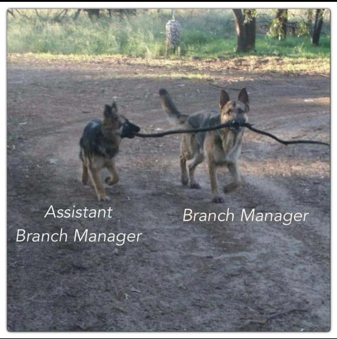 Wooden management structures