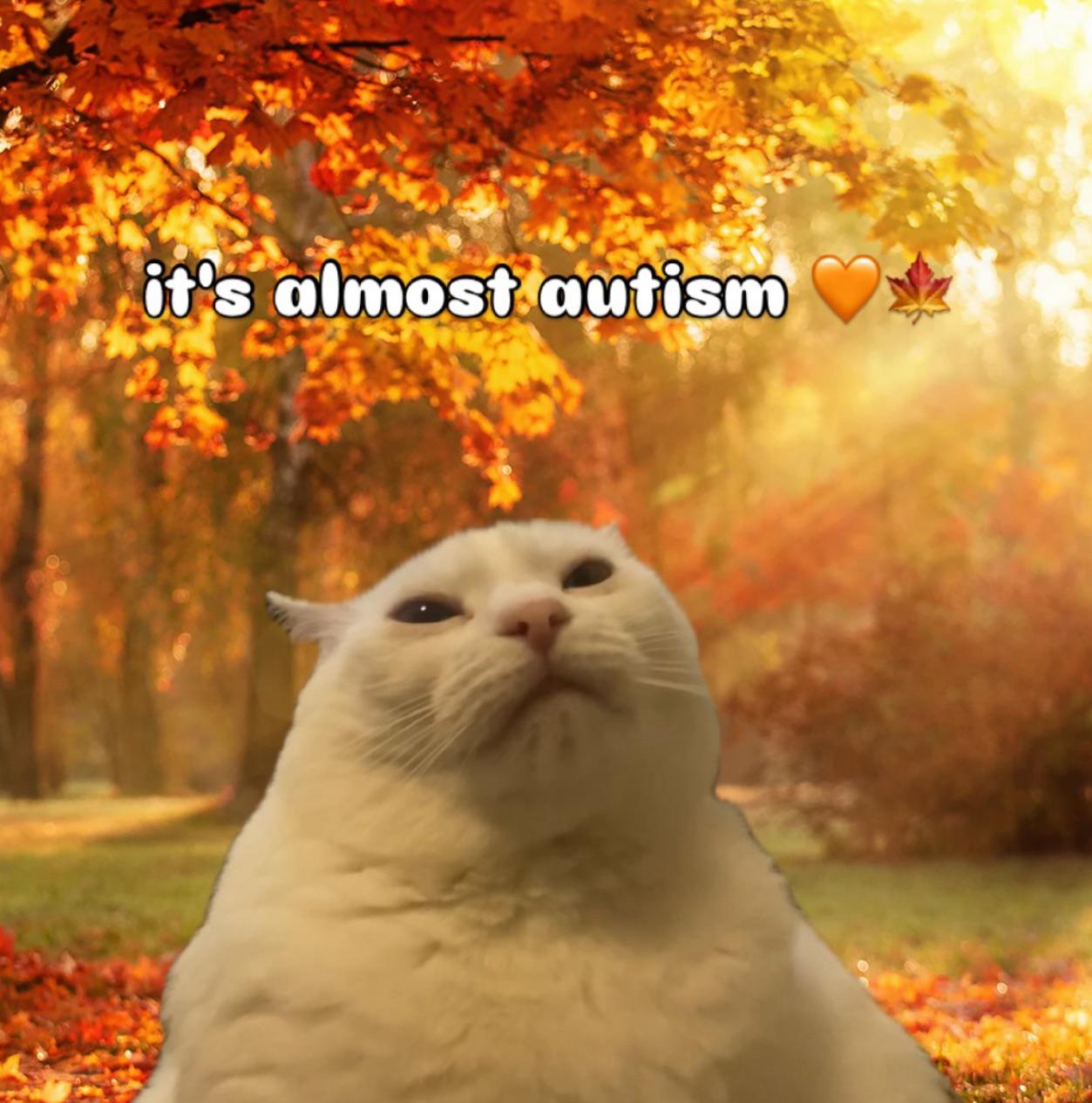 It’s the most wonderful time of the year