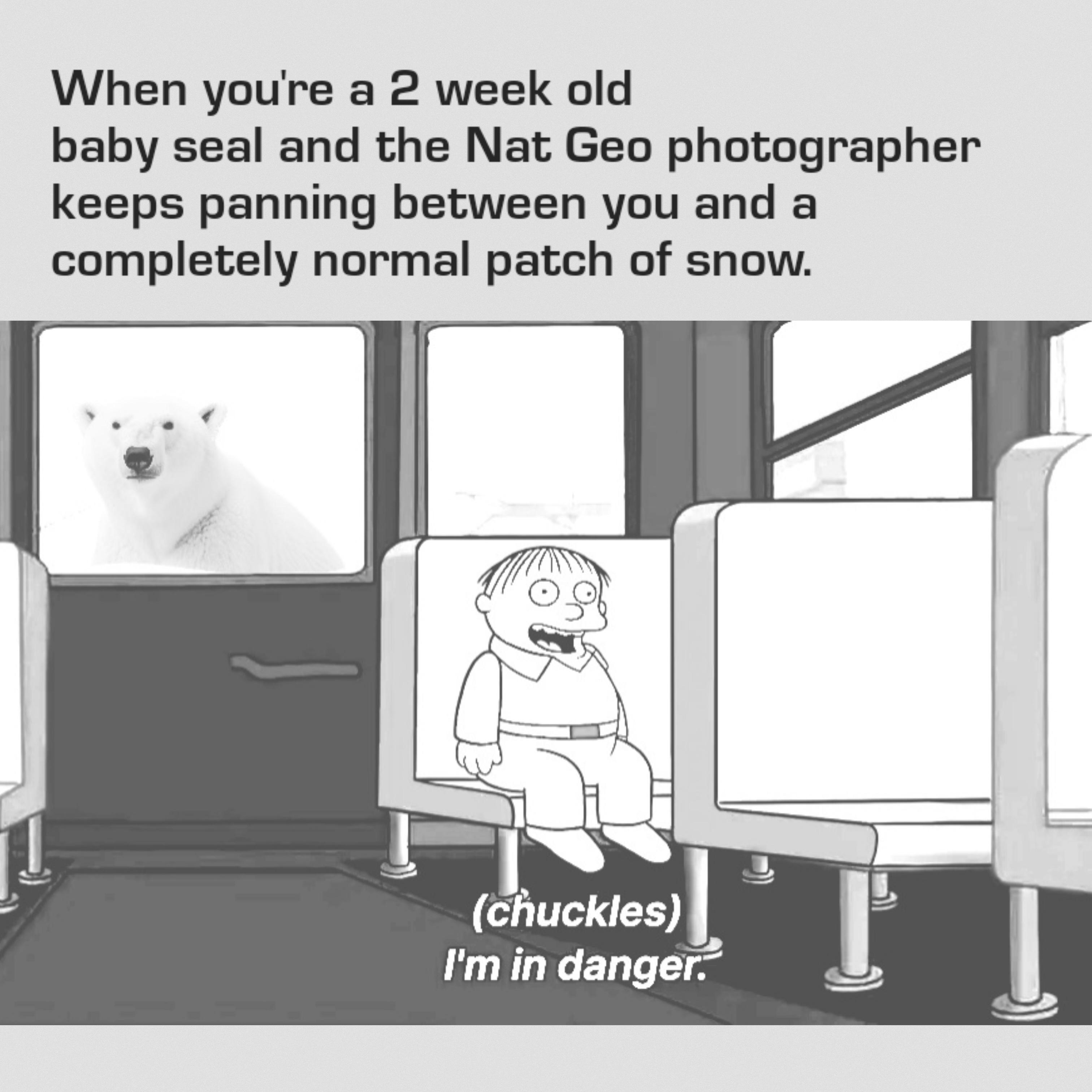 *David Attenborough's voice intensifies*