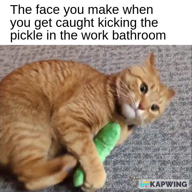 Kicking the Pickle