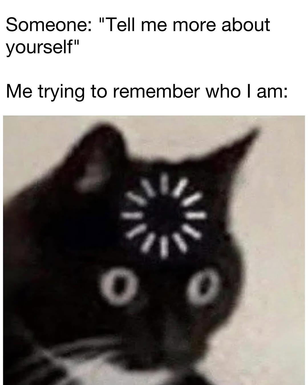 Tell me more