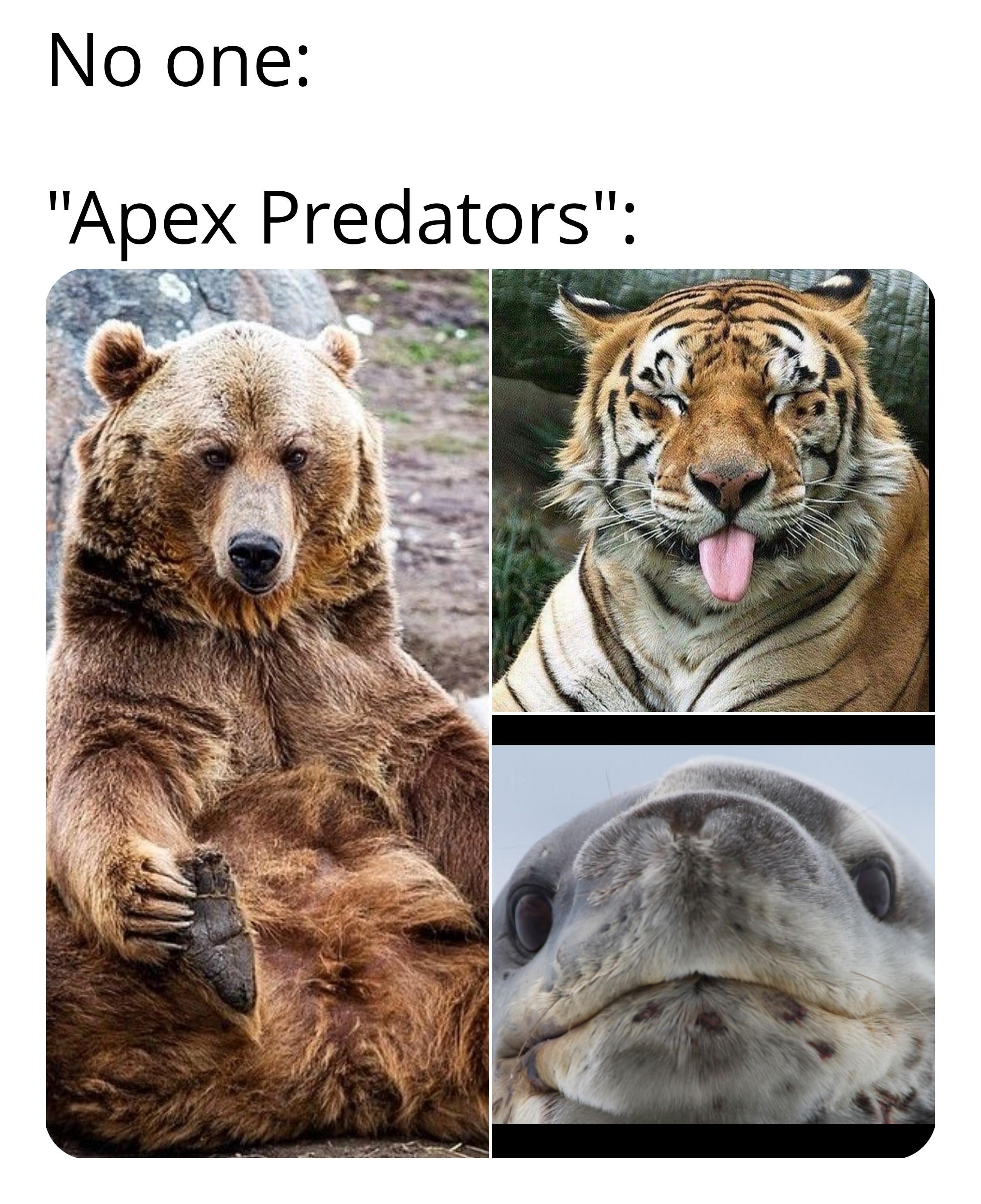 If not Fren, why fren shaped?